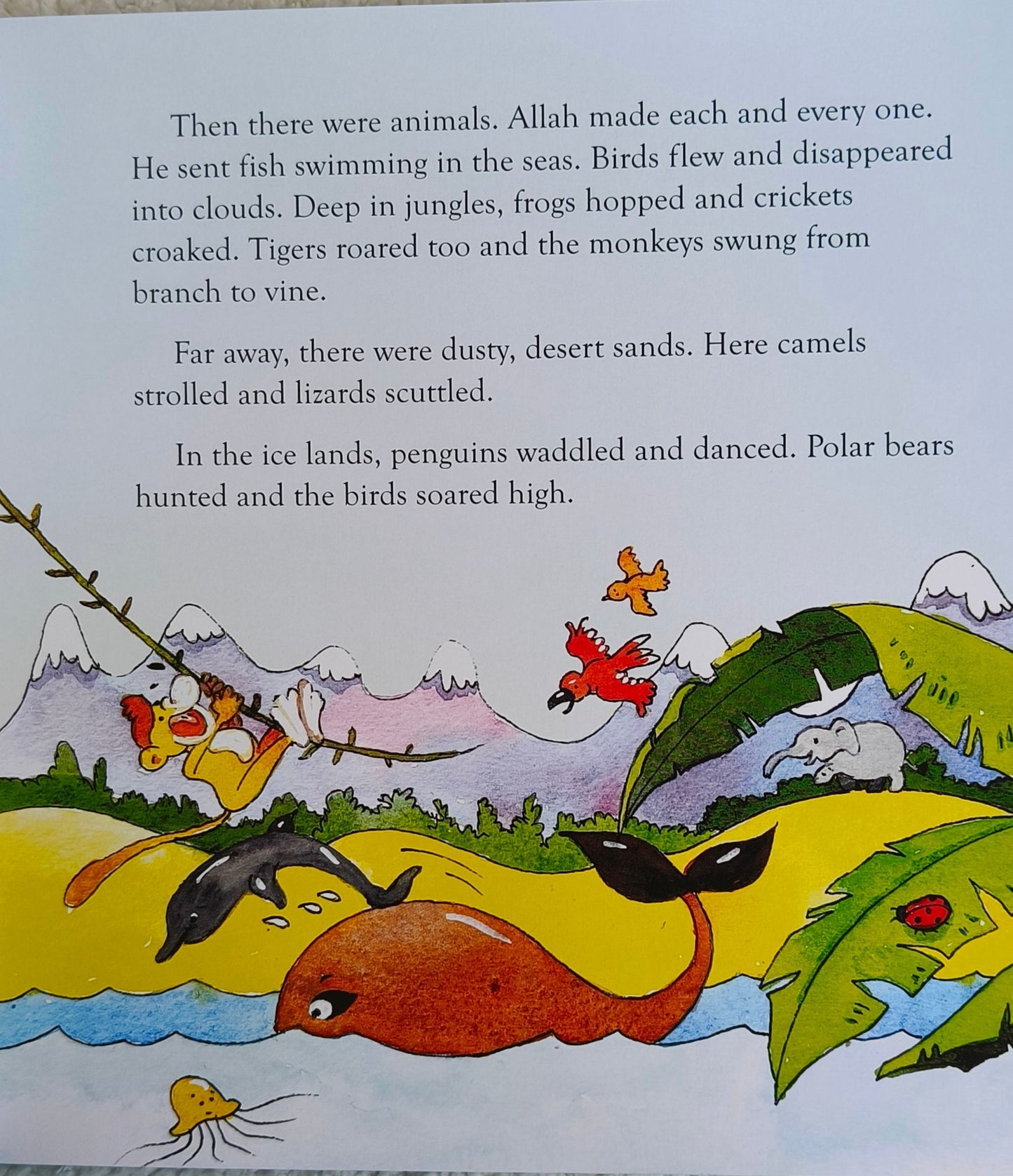 Bedtime Quran Stories - alifthebookstore