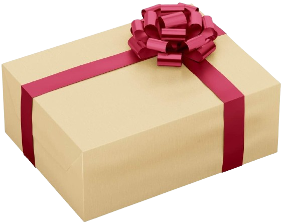 Gift Wrap Gift