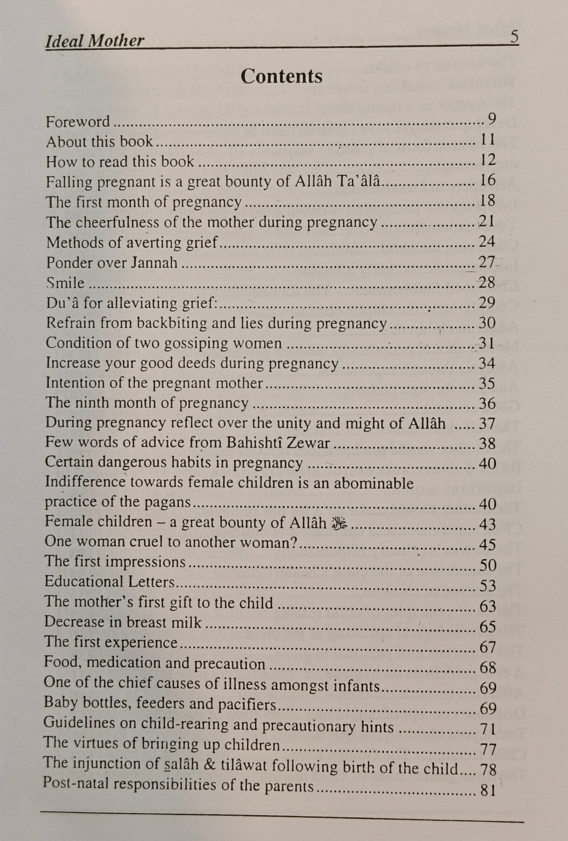 Ideal Mother - alifthebookstore