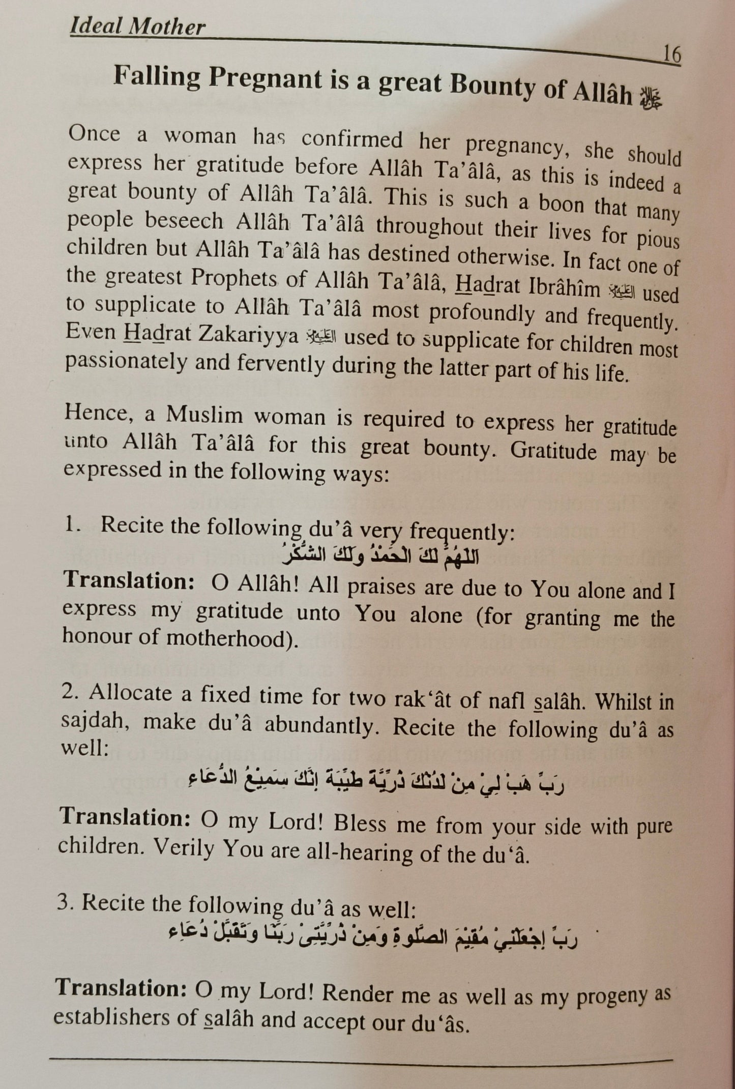 Ideal Mother - alifthebookstore