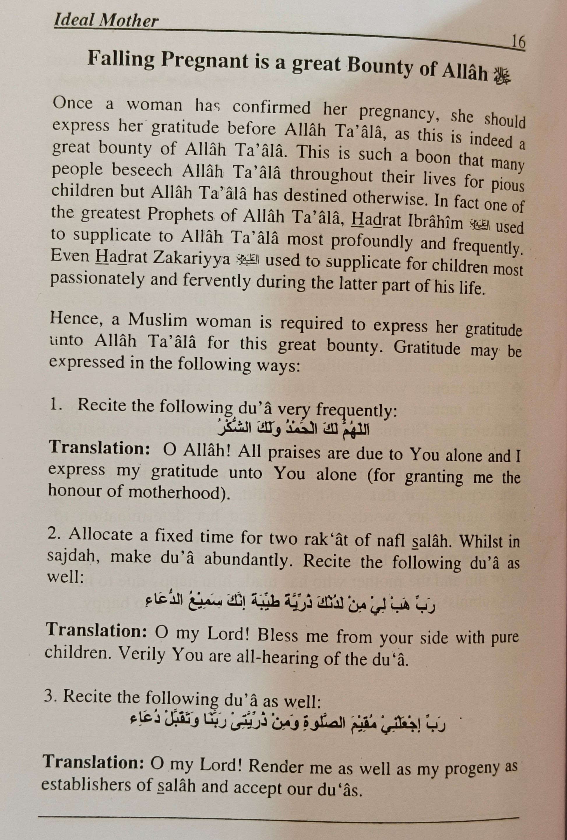 Ideal Mother - alifthebookstore