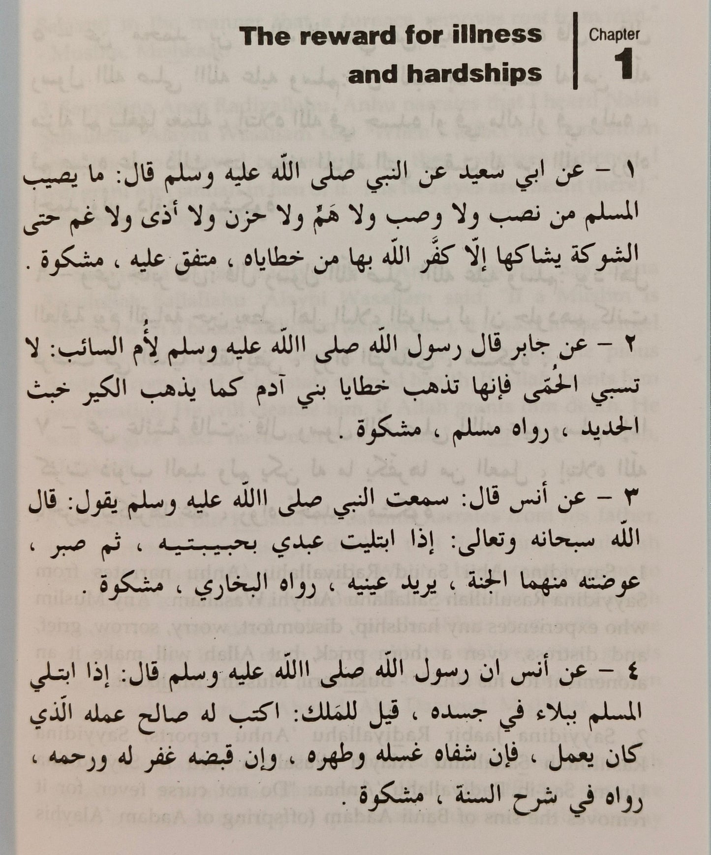 Desire For The Aa-Khirah - alifthebookstore