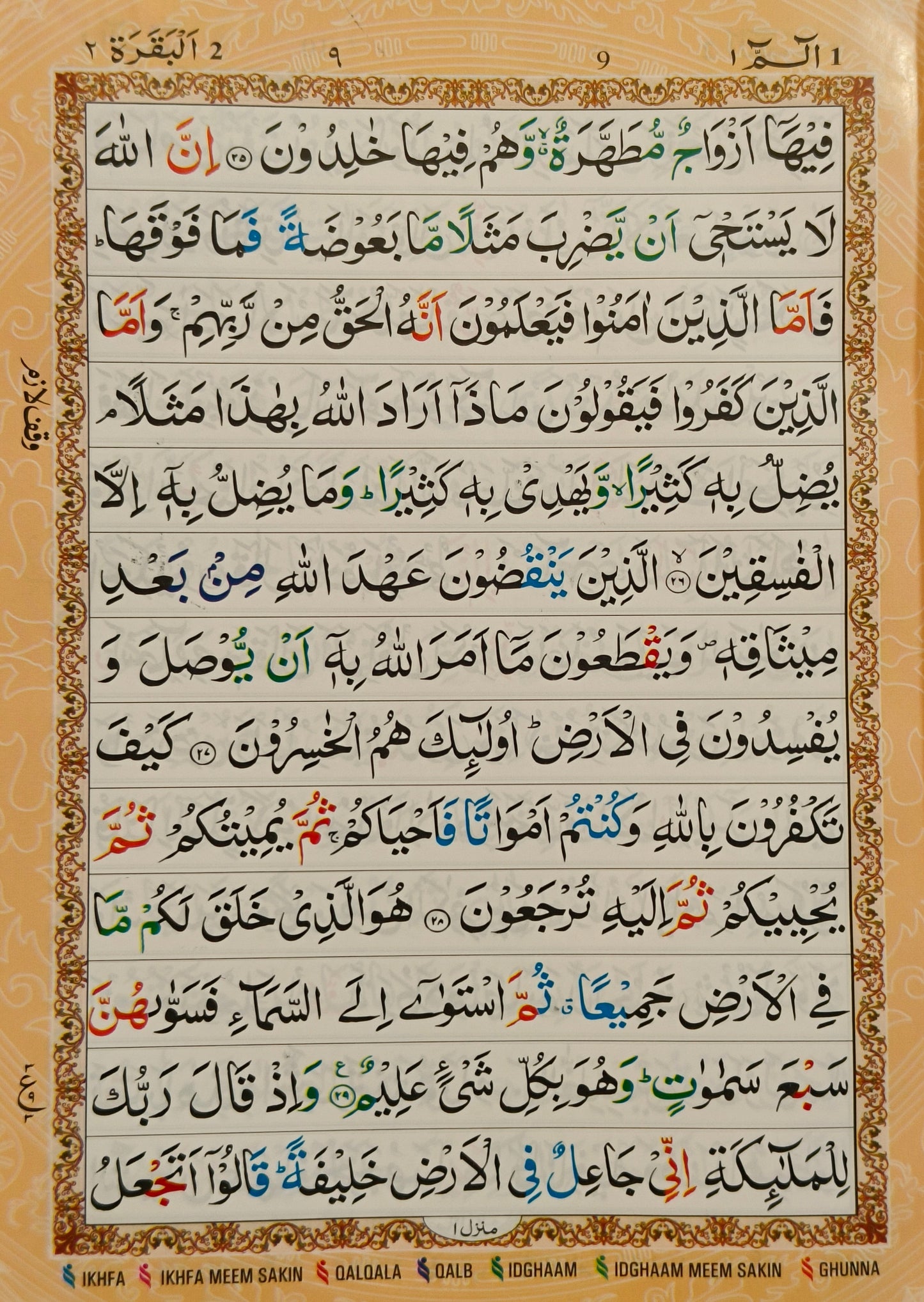 The Quran(Arabic Colour Coded Tajweed Rules}- alifthebookstore