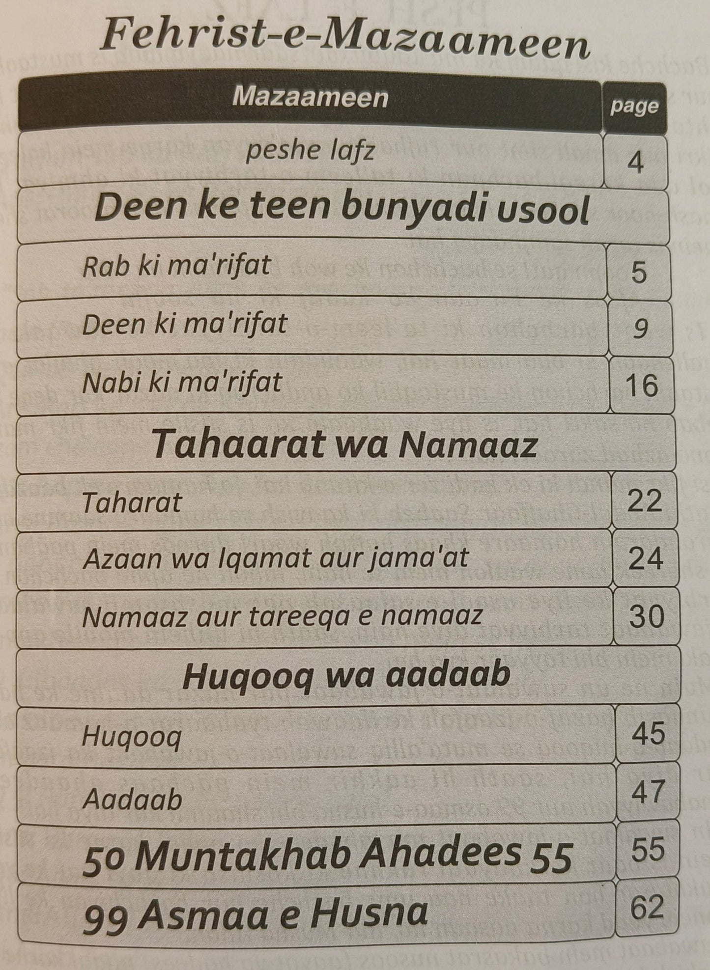 Aao Deen Seekhein(Roman Script) - alifthebookstore