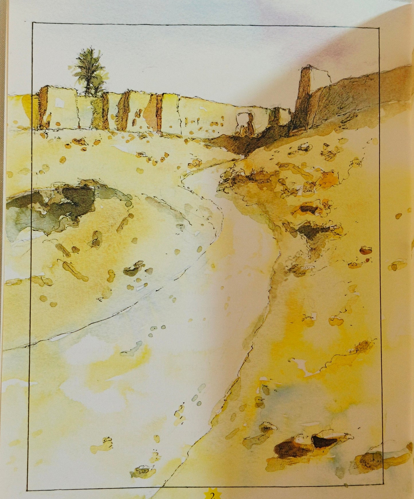 The Story Of Aisha Siddiqa - alifthebookstore