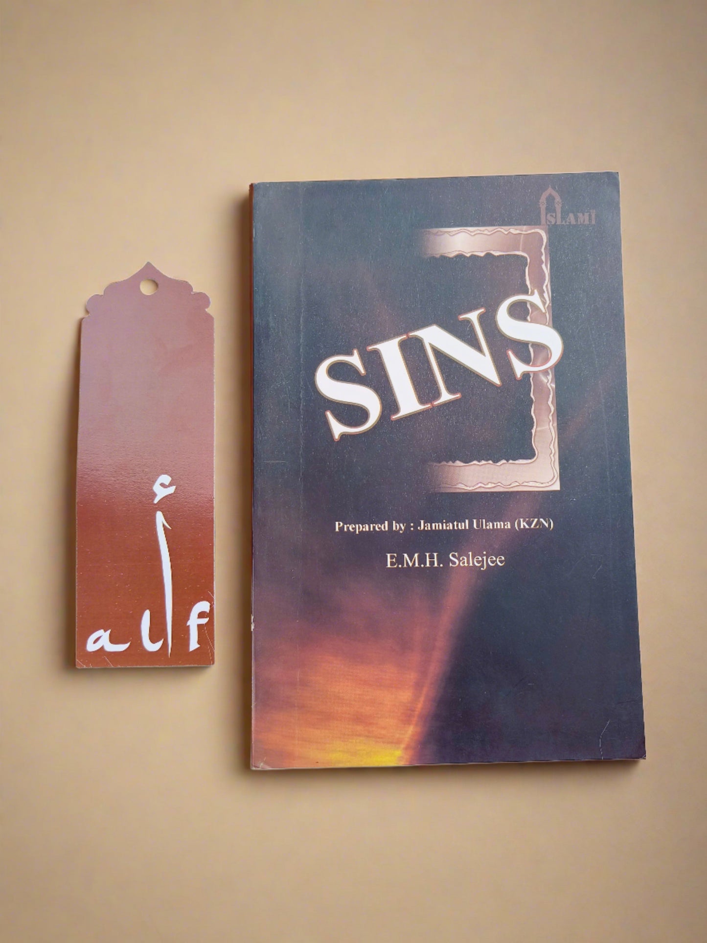 Sins by E.M.H Salejee – Islamic Book in English – Alif The Bookstore