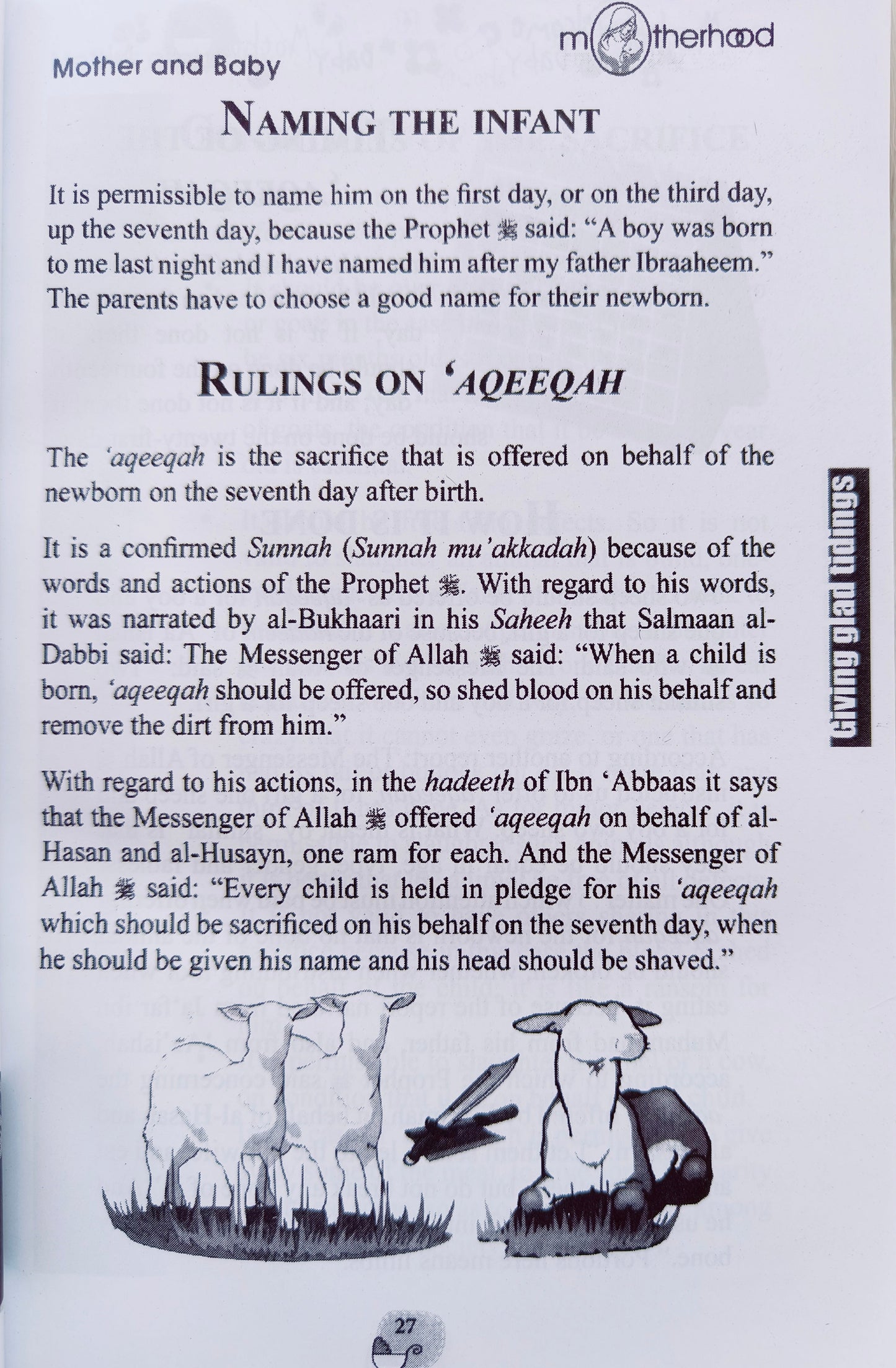 Now you're a Mother - alifthebookstore