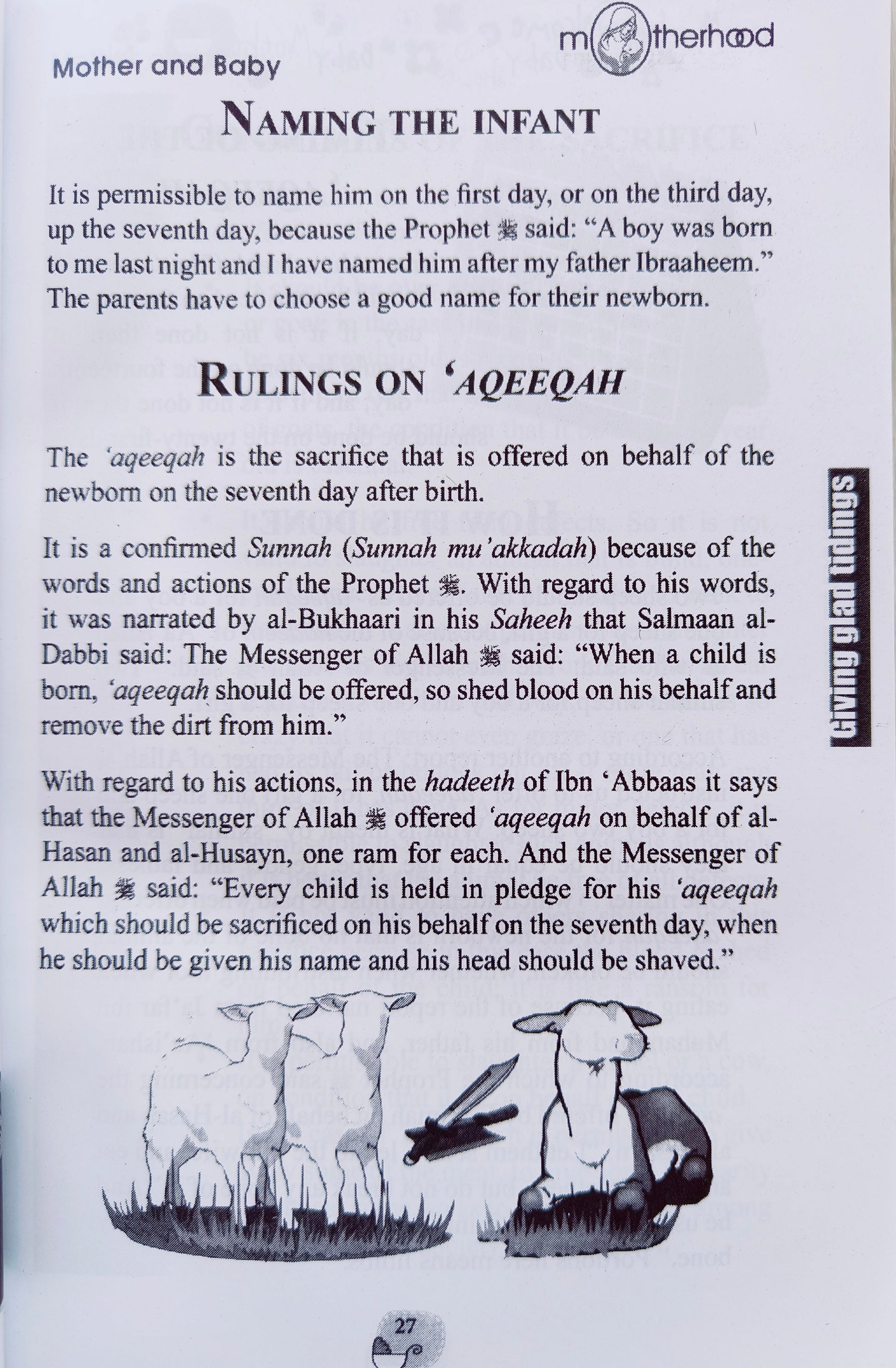 Now you're a Mother - alifthebookstore