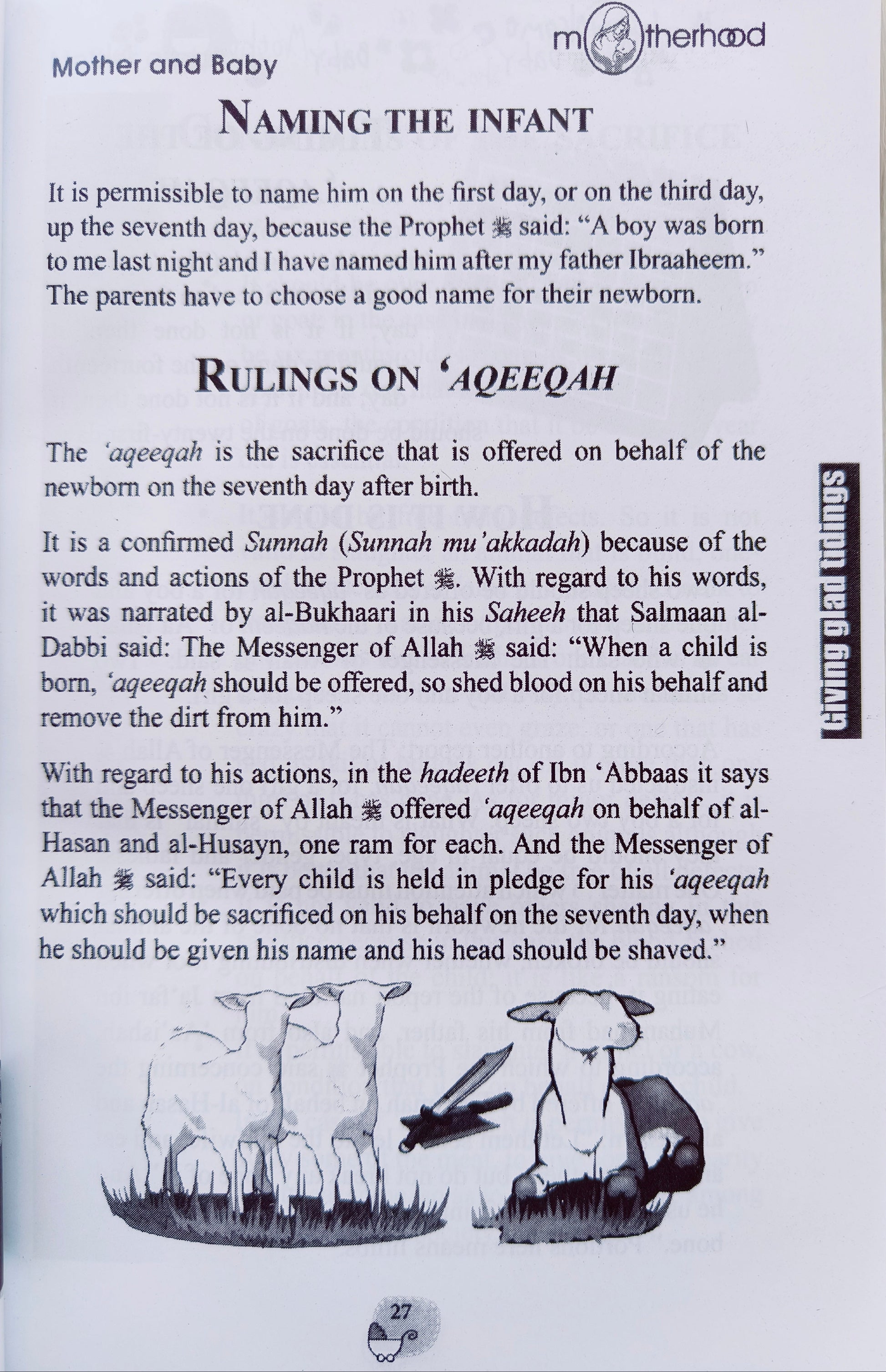 Now you're a Mother alifthebookstore