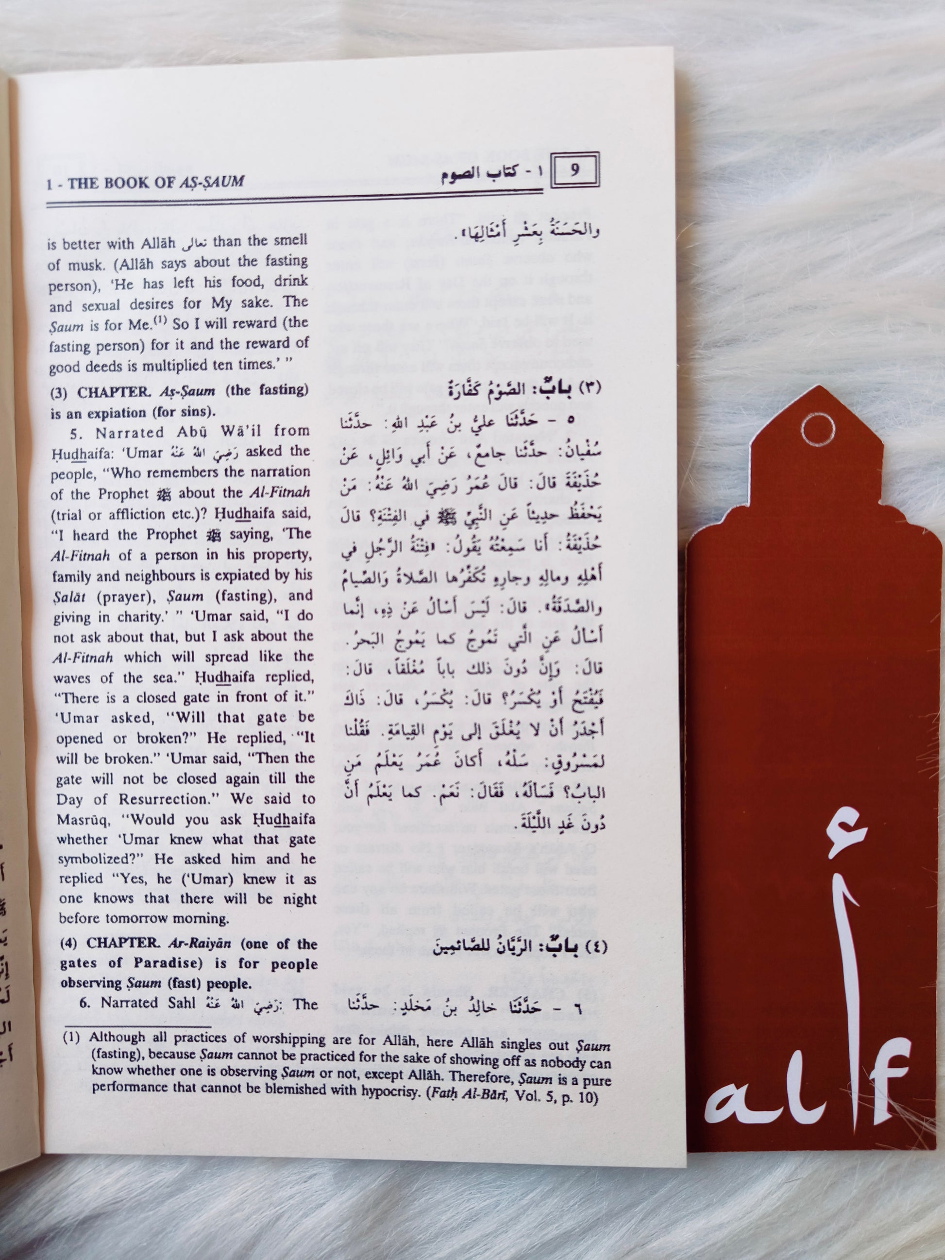 UNDERSTANDING RAMADAN - alifthebookstore