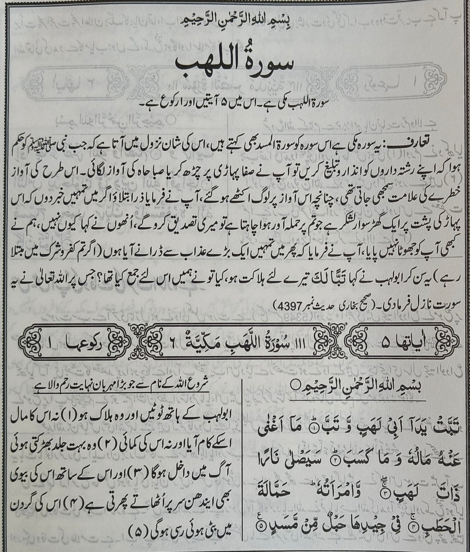 Aam Fahem Tafseer Al -Quran - alifthebookstore