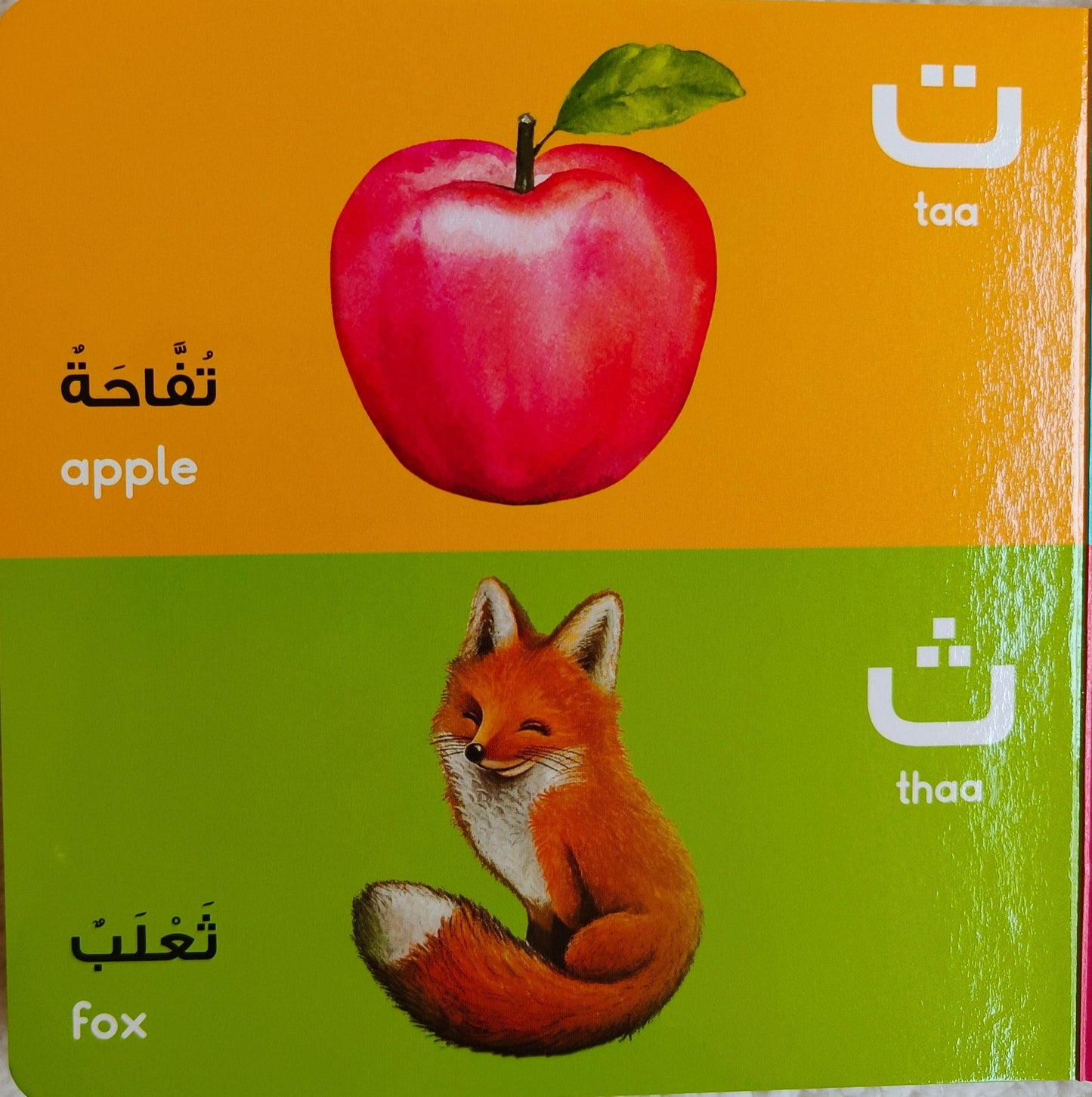 Arabic Alphabet - alifthebookstore