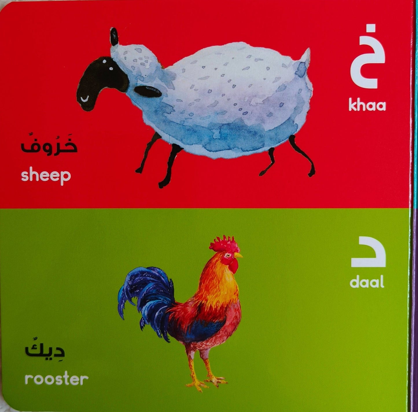 Arabic Alphabet - alifthebookstore