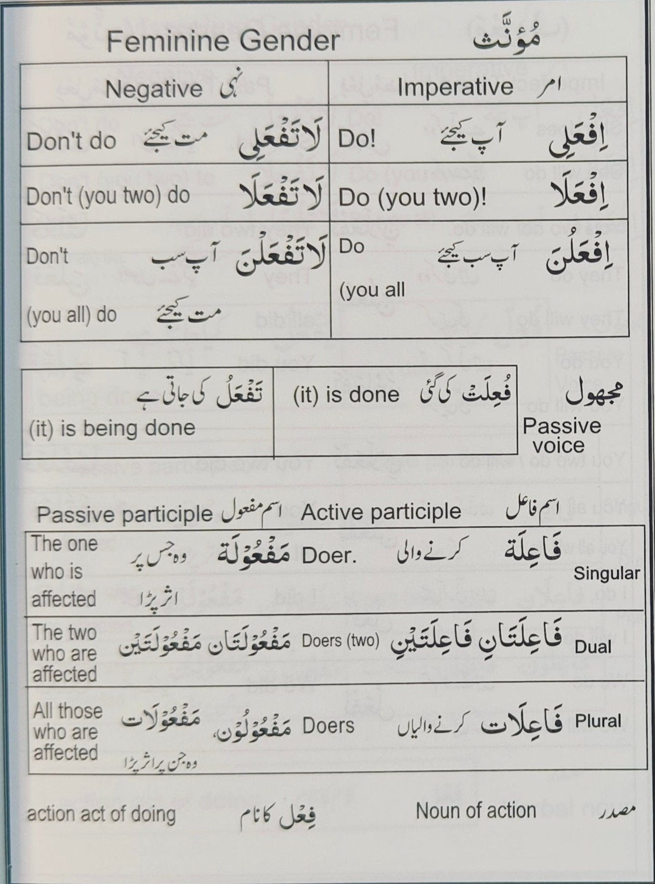 80%of Qur'anic Words alifthebookstore