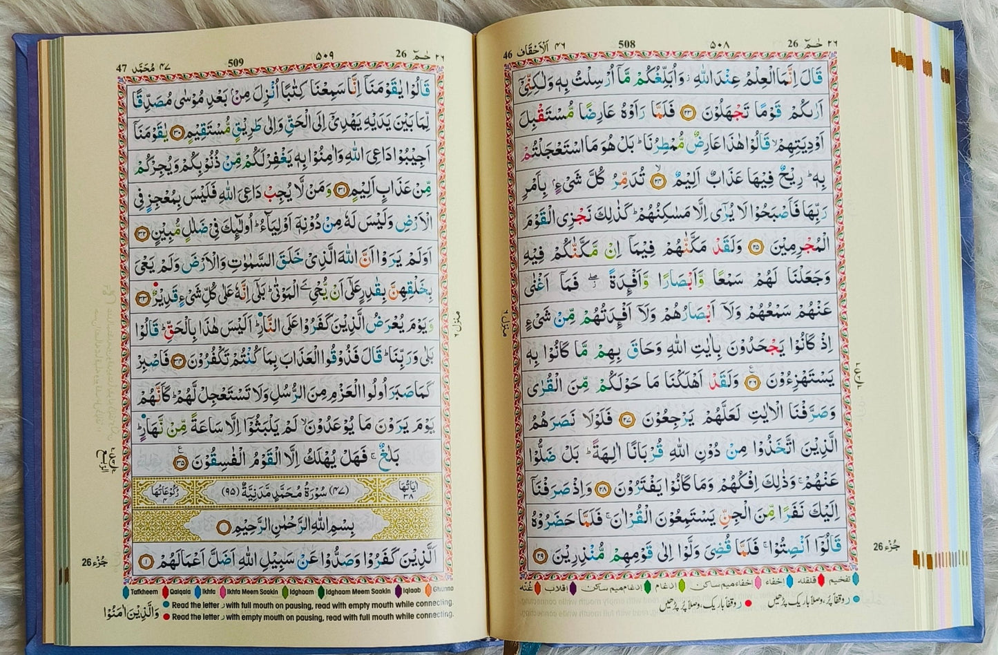 The Holy Quran Colour Coded Tajweed Rules alifthebookstore