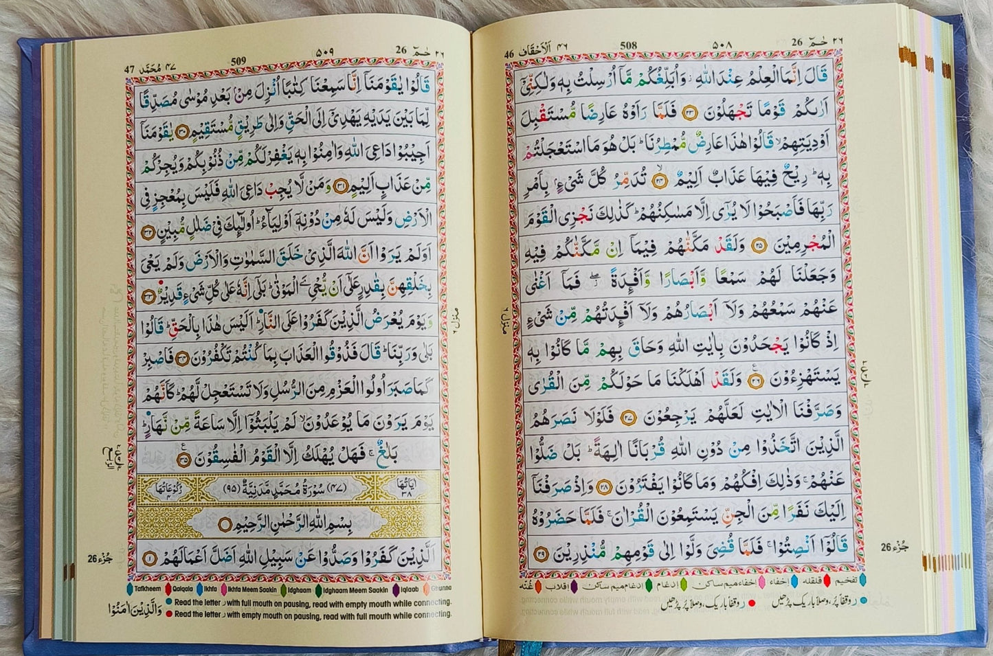 The Holy Quran Colour Coded Tajweed Rules alifthebookstore
