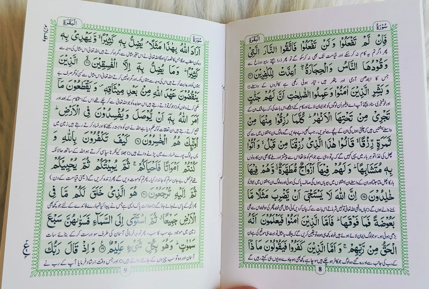 Surah Baqarah With Urdu Translation alifthebookstore