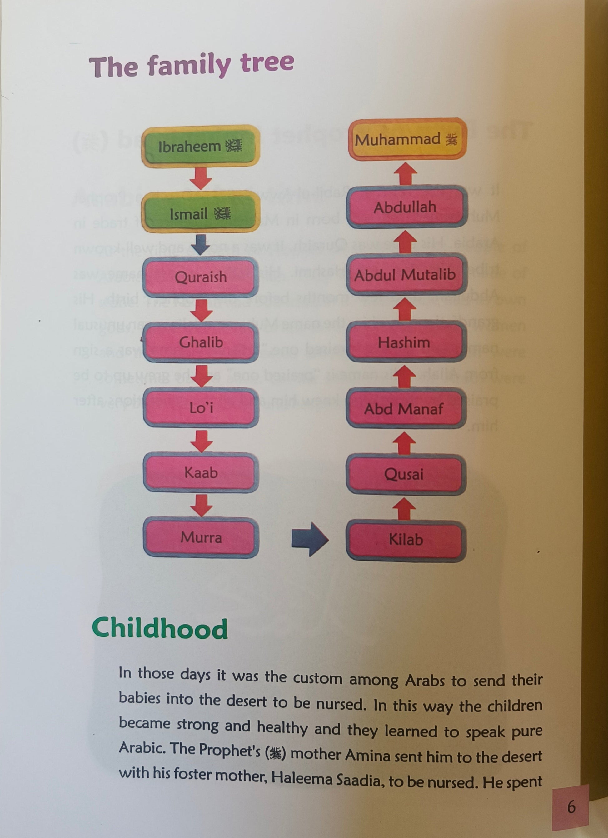 Let`s Read About The Prophet Muhammad (Peace be upon him) alifthebookstore