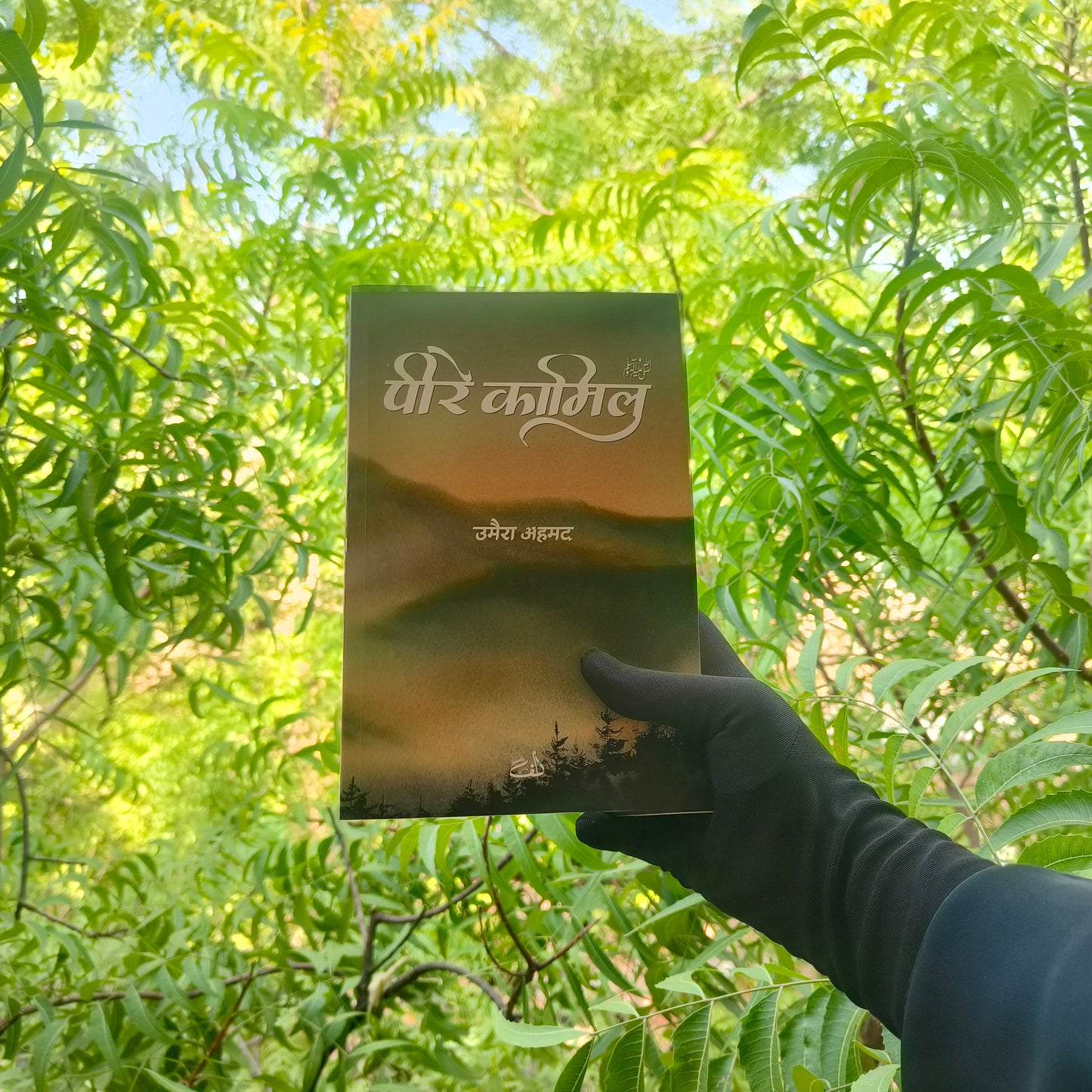 Peer-e-Kamil(Hindi) alifthebookstore