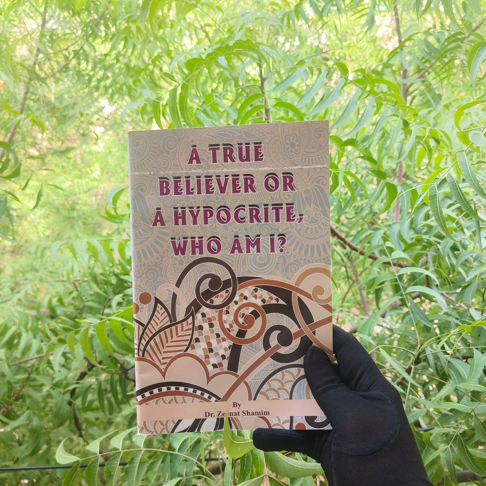 A True Believer Or a Hypocrite,WHO AM I? alifthebookstore
