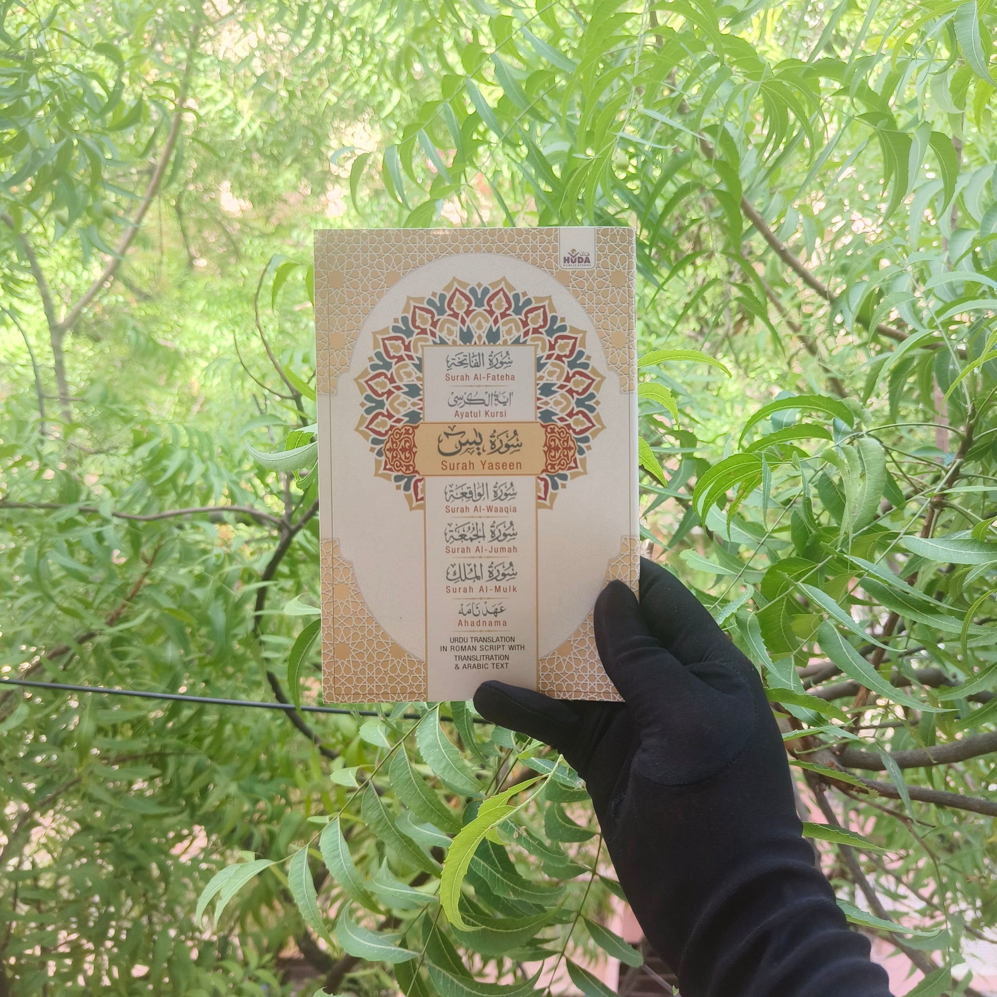 Surah Yasin Urdu Translation in Roman Script with Translitration & Arabic alifthebookstore