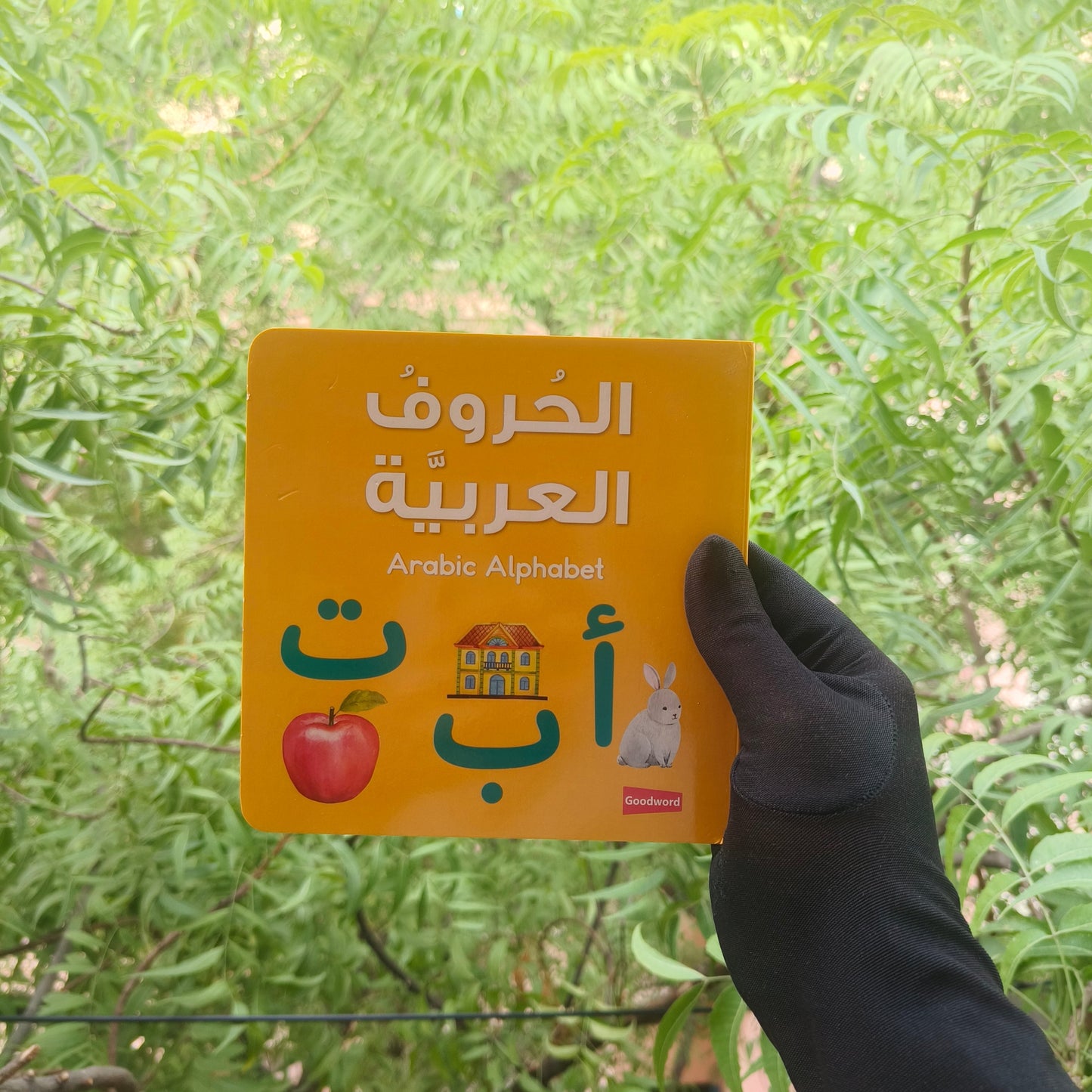 Arabic Alphabet(Board Book) alifthebookstore