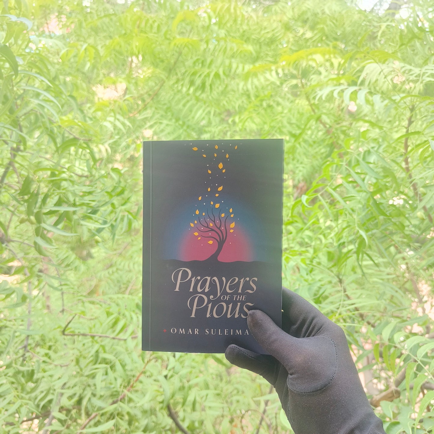 Prayers of the Pious alifthebookstore