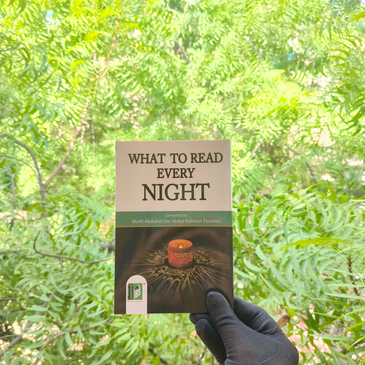 What To Read Every Night alifthebookstore