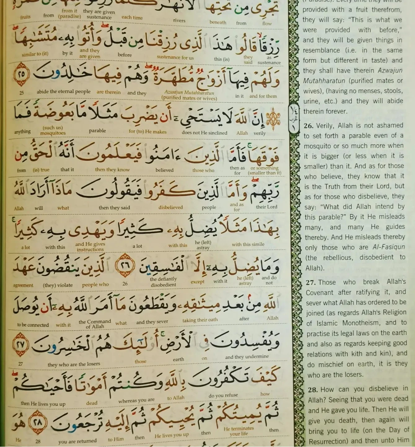Al-Quran Al-Kareem (English Word to Word Colour Coded Tajweed Rules - alifthebookstore