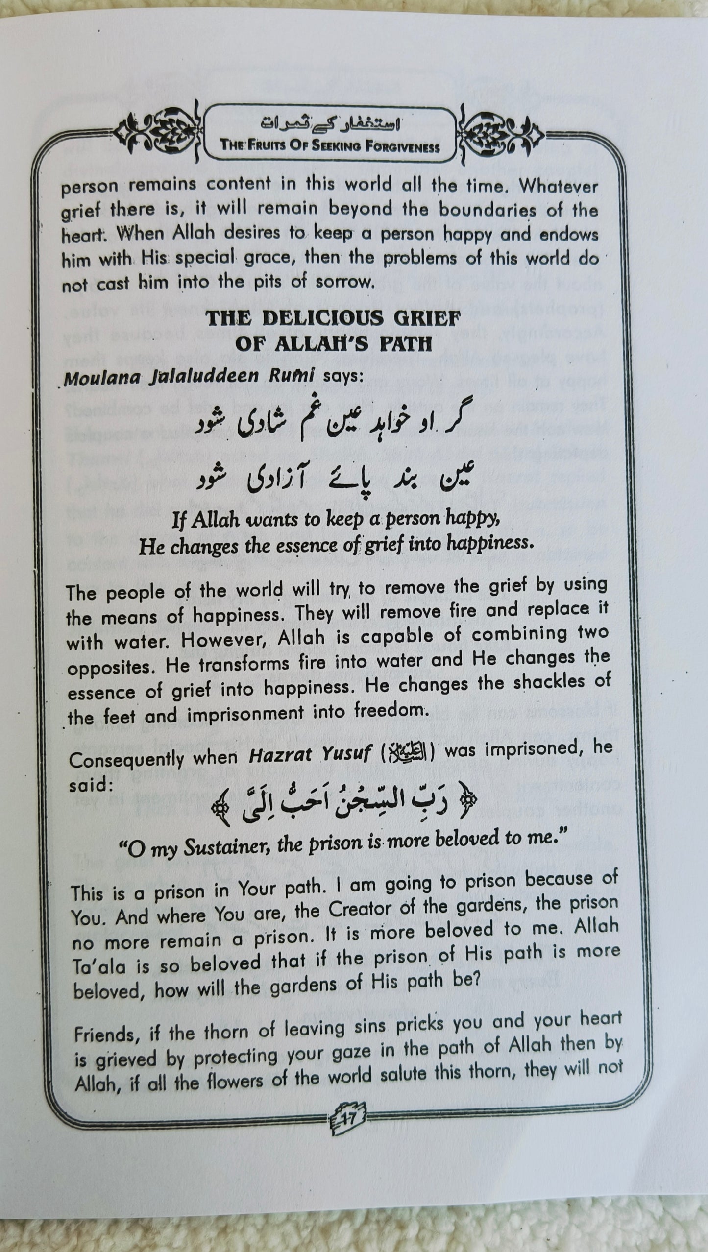 The Fruits Of Seeking Forgiveness - alifthebookstore