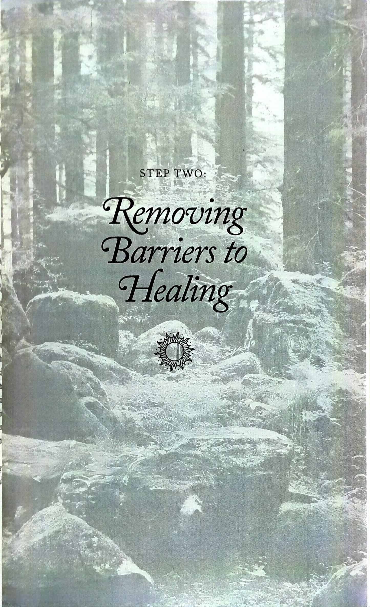 Healing the Emptiness: A guide to emotional and spiritual well-being (PAPERBACK) alifthebookstore