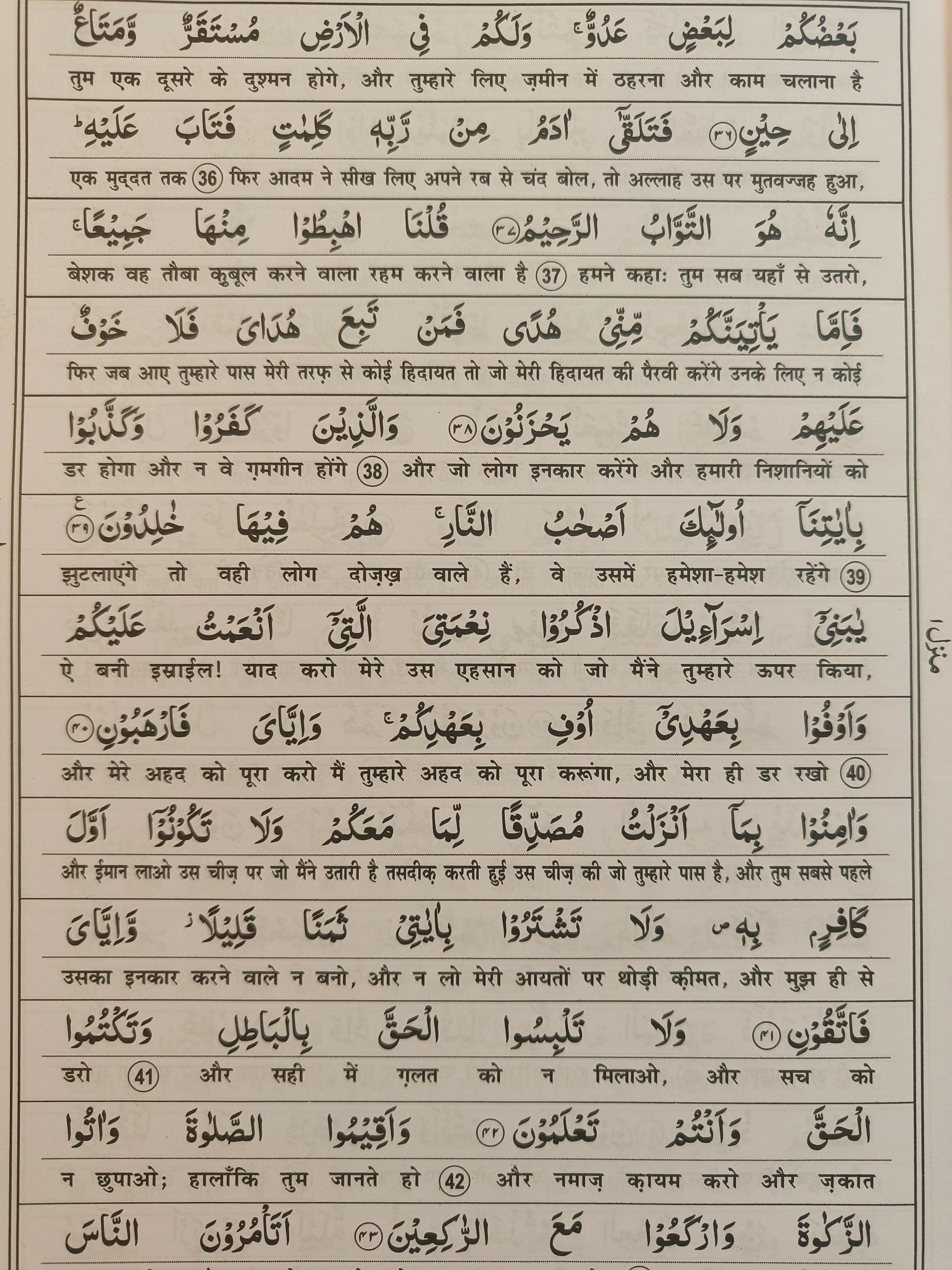 Riyazul Quran {Word to Word Translation in Hindi Script}- alifthebookstore