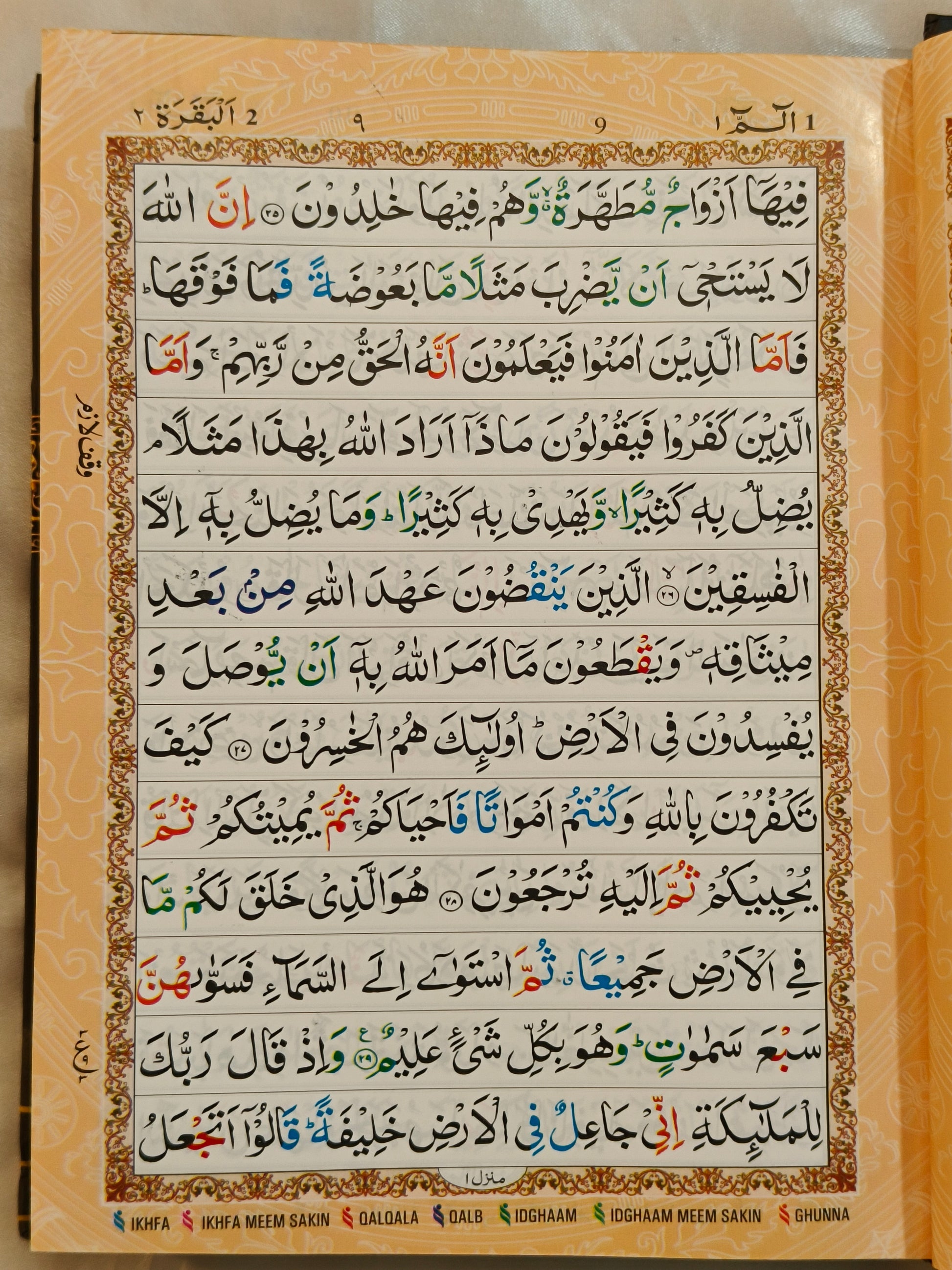 The Quran(Arabic Colour Coded Tajweed Rules}- alifthebookstore