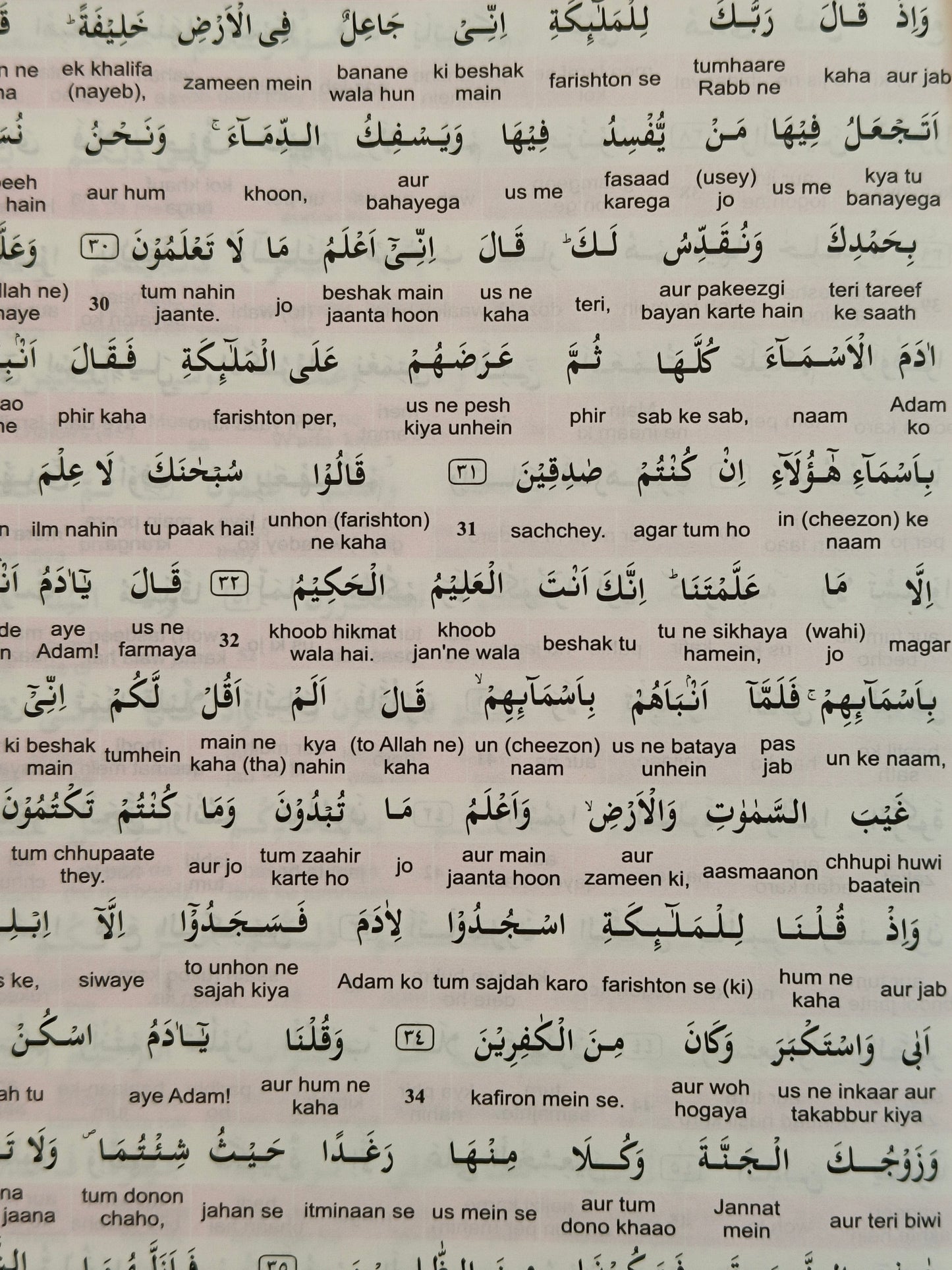 The Glorious Quran (Word To Word Translation in Roman script)-alifthebookstore