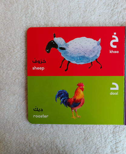 Arabic Alphabet - alifthebookstore