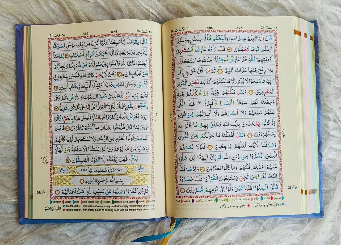 The Holy Quran Colour Coded Tajweed Rules alifthebookstore