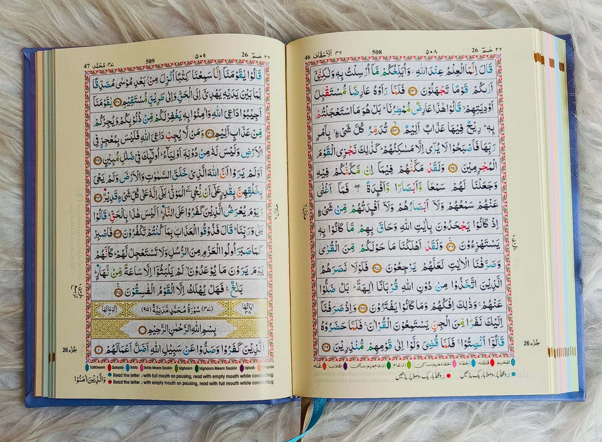 The Holy Quran Colour Coded Tajweed Rules alifthebookstore