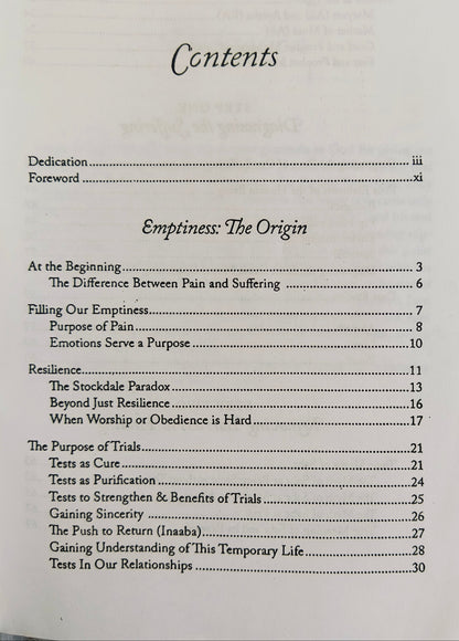 Healing the Emptiness: A guide to emotional and spiritual well-being (PAPERBACK)