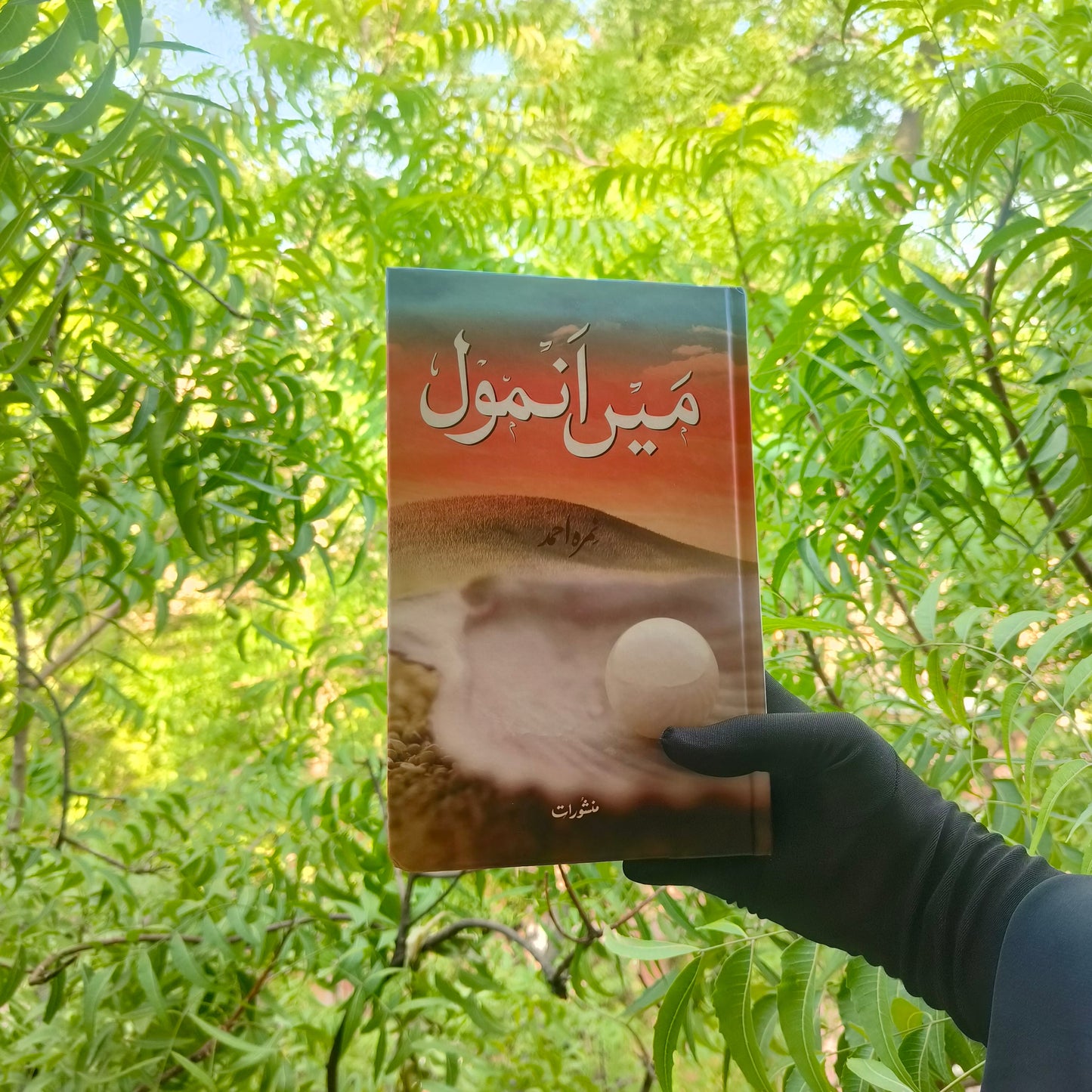 Main Anmool(Urdu) alifthebookstore