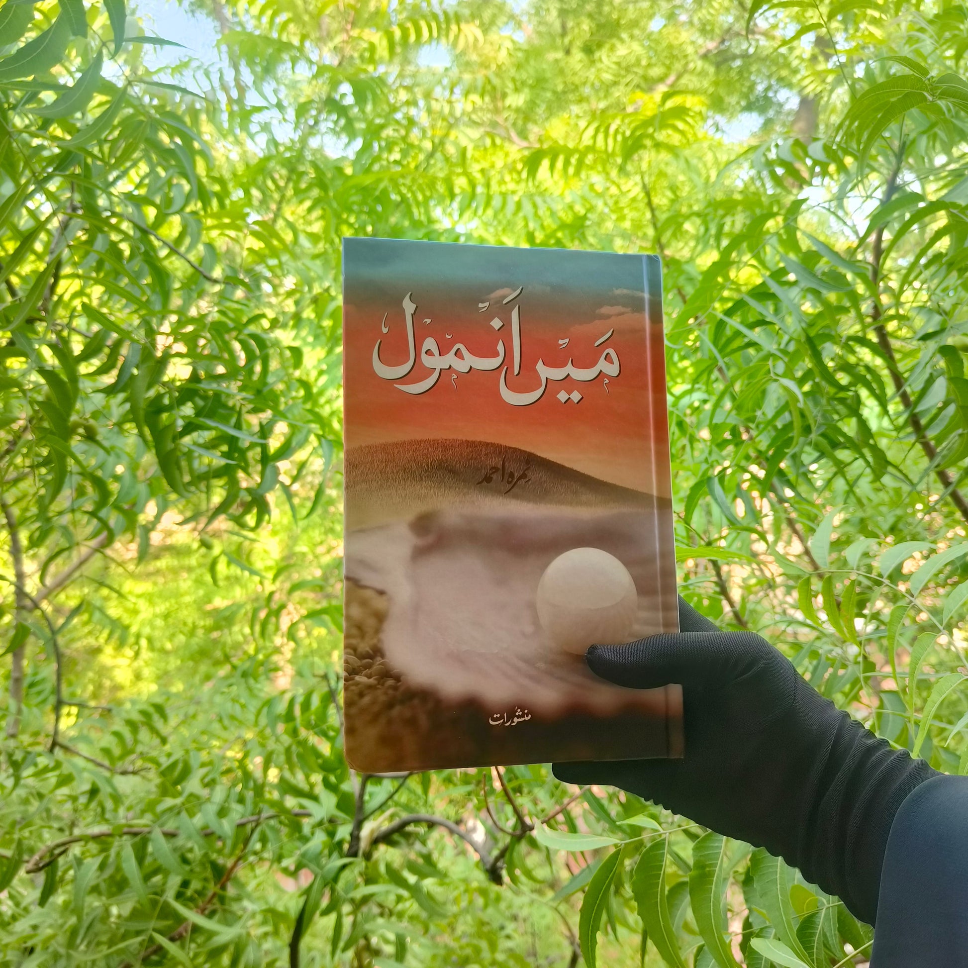 Main Anmool(Urdu) alifthebookstore
