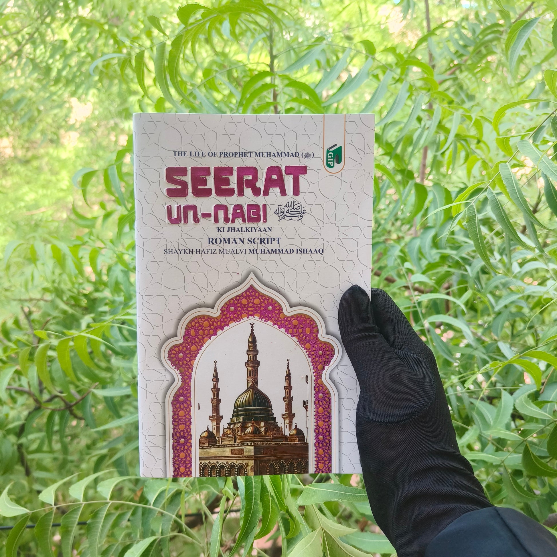 Seerat Un Nabi (S.A.W) Ki Jhalkiya alifthebookstore
