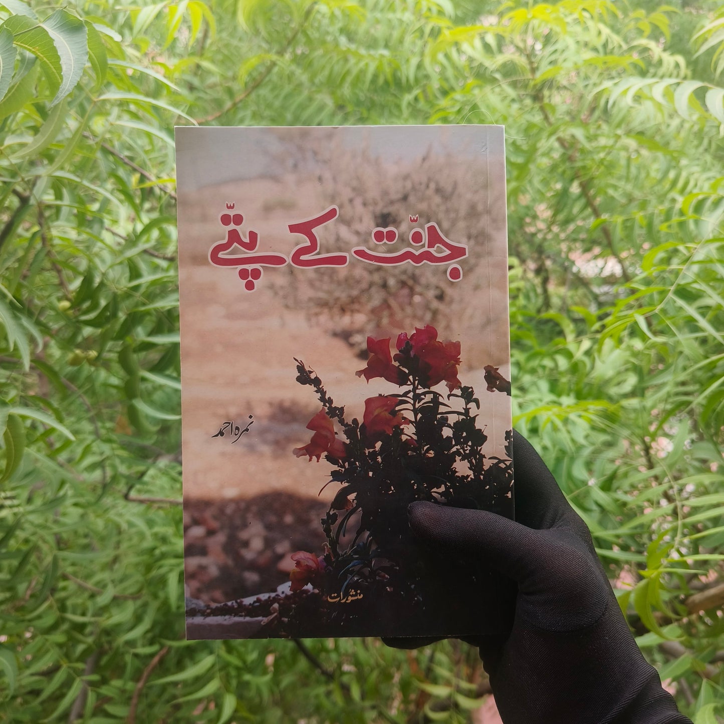 Jannat Ke Pattey(urdu) alifthebookstore