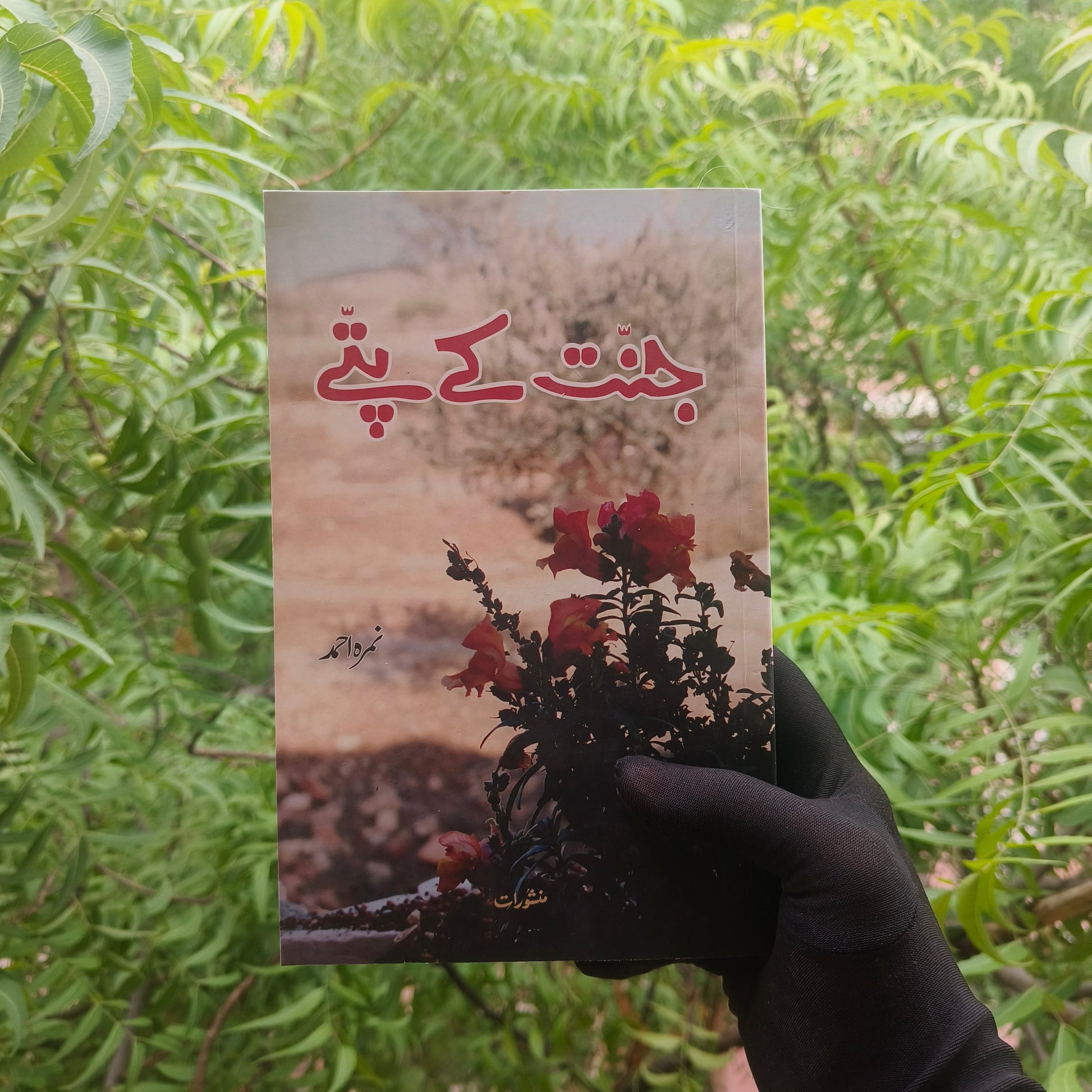 Jannat Ke Pattey(urdu) alifthebookstore
