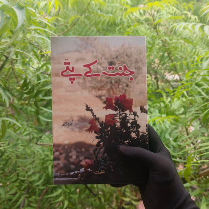 Jannat Ke Pattey(urdu) alifthebookstore
