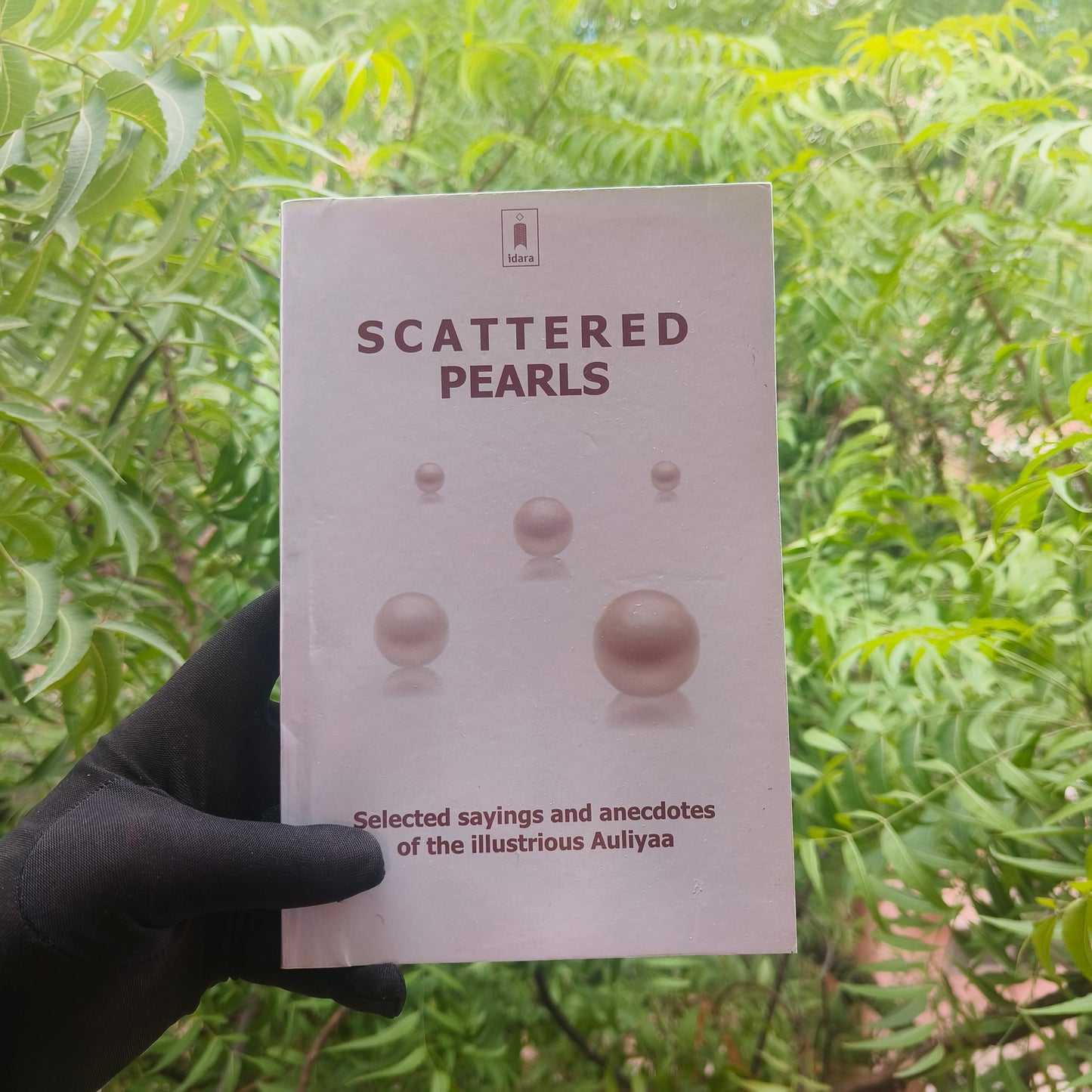 Scattered Pearls alifthebookstore