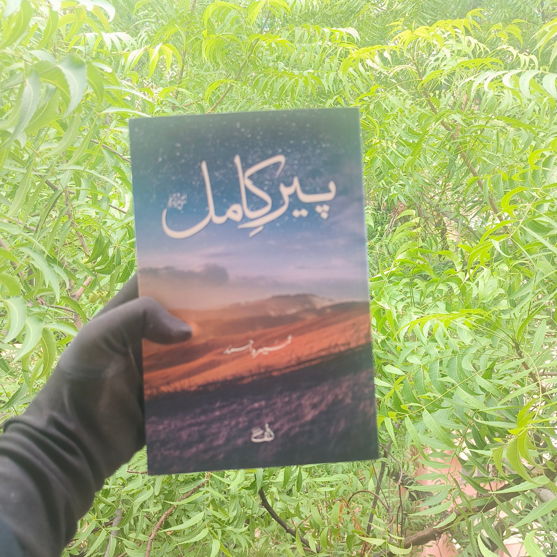 Peer-e-Kamil [Urdu] alifthebookstore