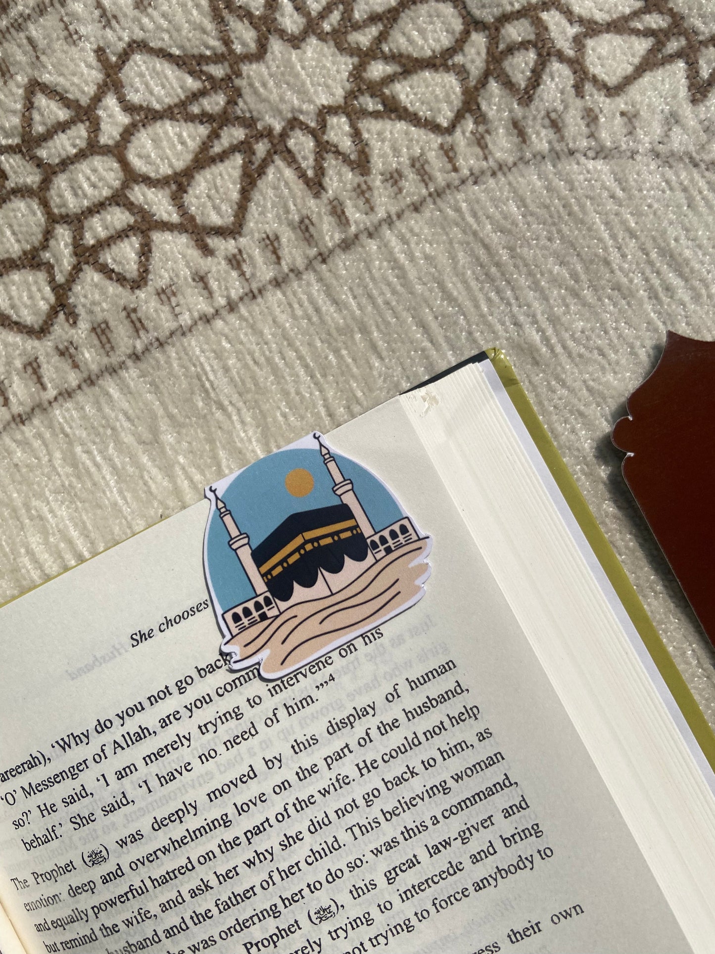 Alif Magnetic Bookmarks(Set of 5) alifthebookstore