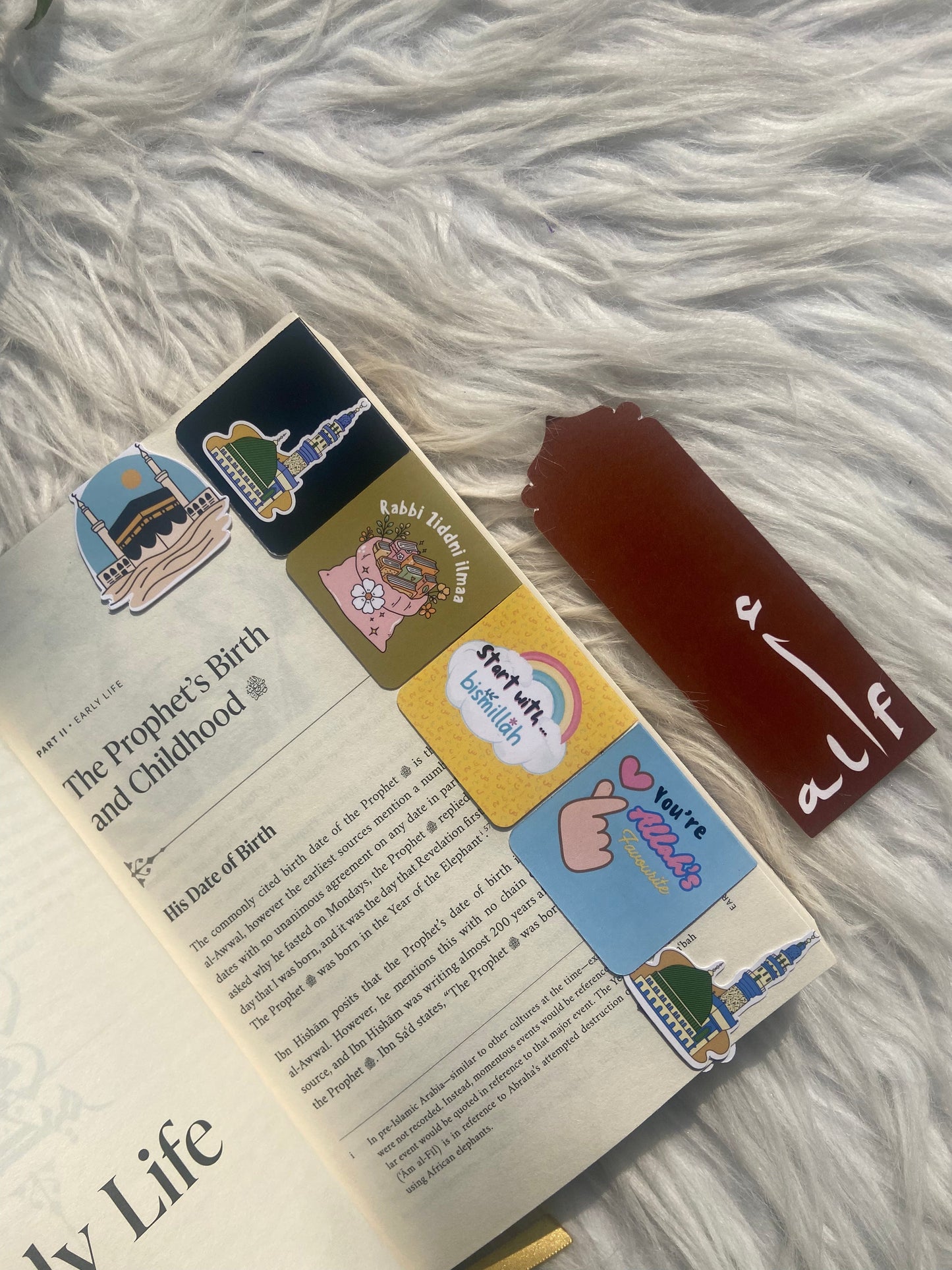 Alif Magnetic Bookmarks(Set of 5) alifthebookstore