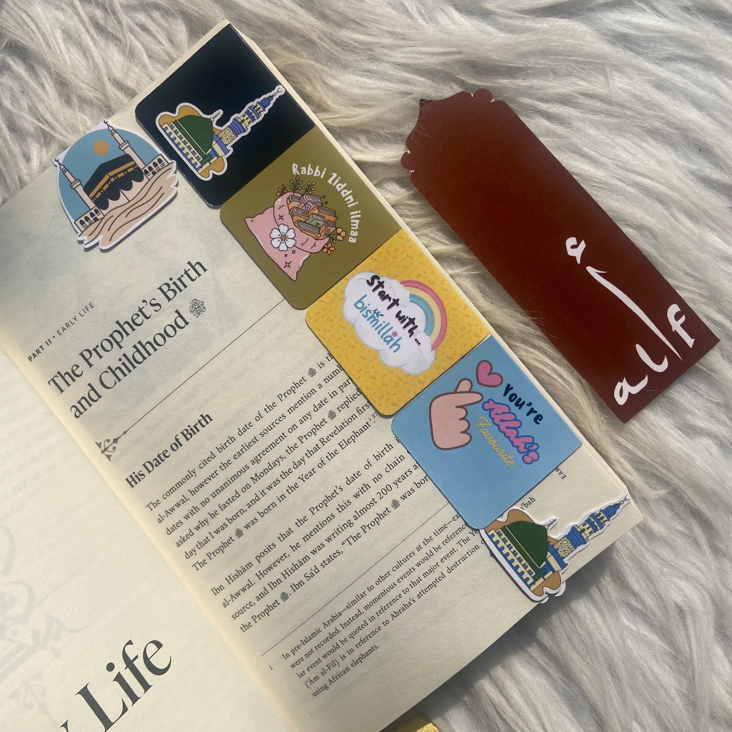 Alif Magnetic Bookmarks(Set of 5) alifthebookstore