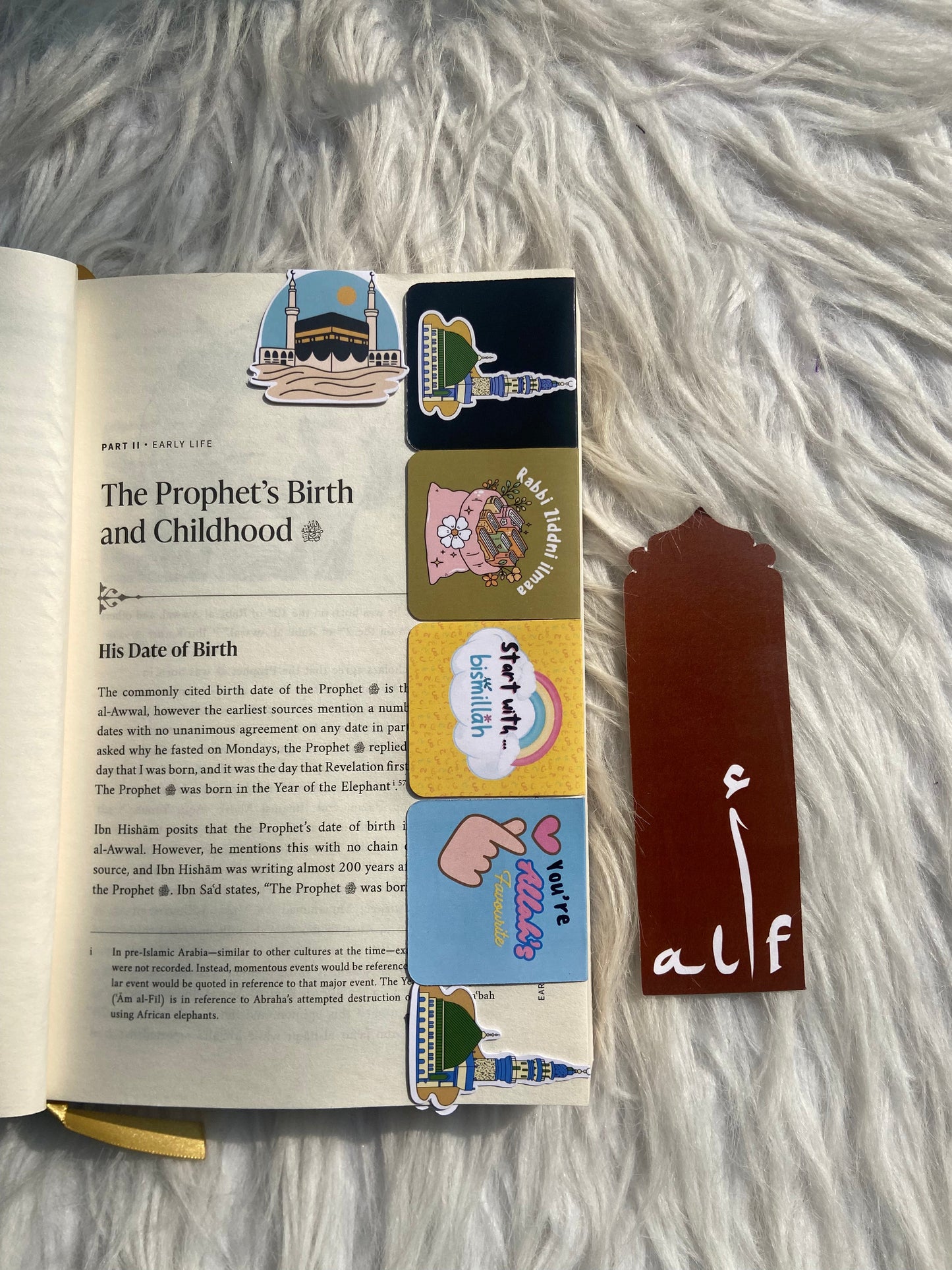 Alif Magnetic Bookmarks(Set of 5) alifthebookstore